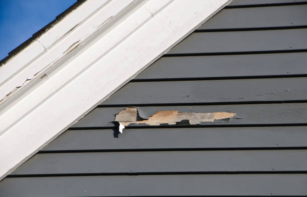 Best Siding for New Construction  in Bent, NE